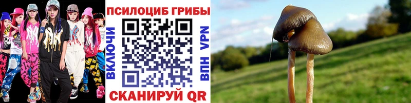 Купить закладки  Канск  Галлюциногенные грибы GOLDEN TEACHER 